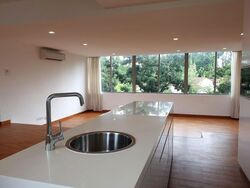 Nassim Regency (D10), Condominium #597102071
